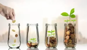 Financial Security